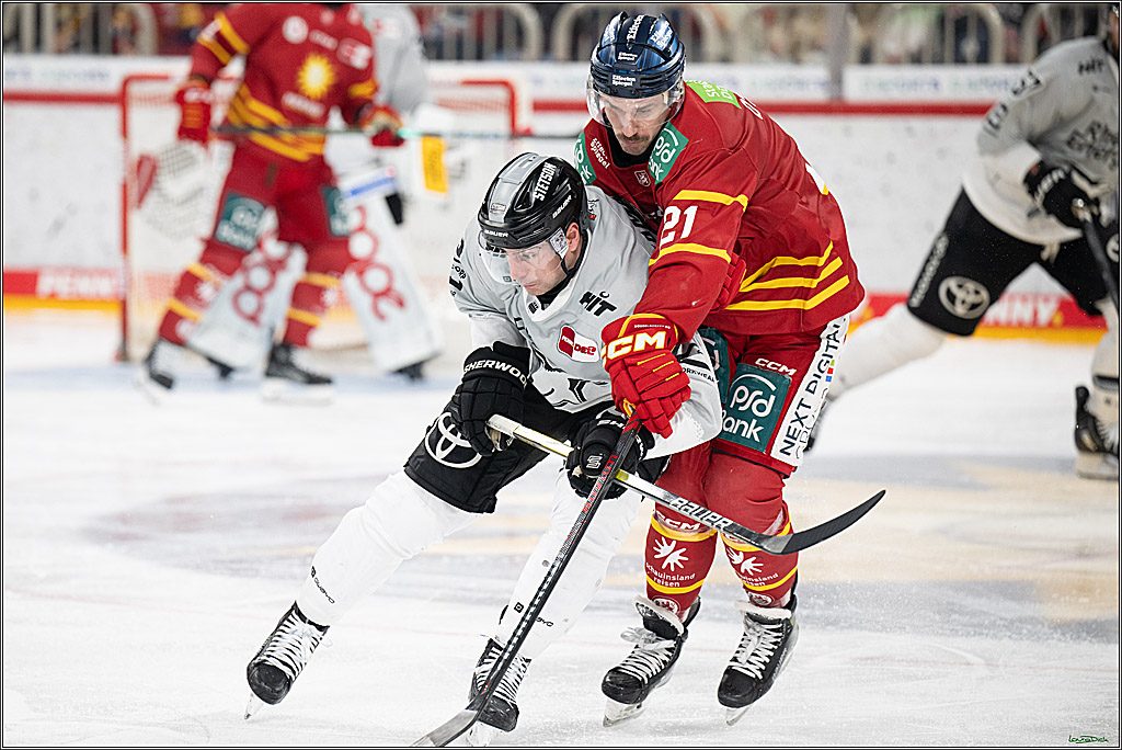 PENNY DEL; Duesseldorfer EG- Koelner Haie; Duesseldorf, 24.01.2025